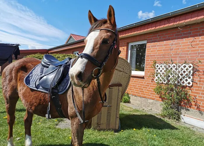 Lägenhet Stobbe Grube