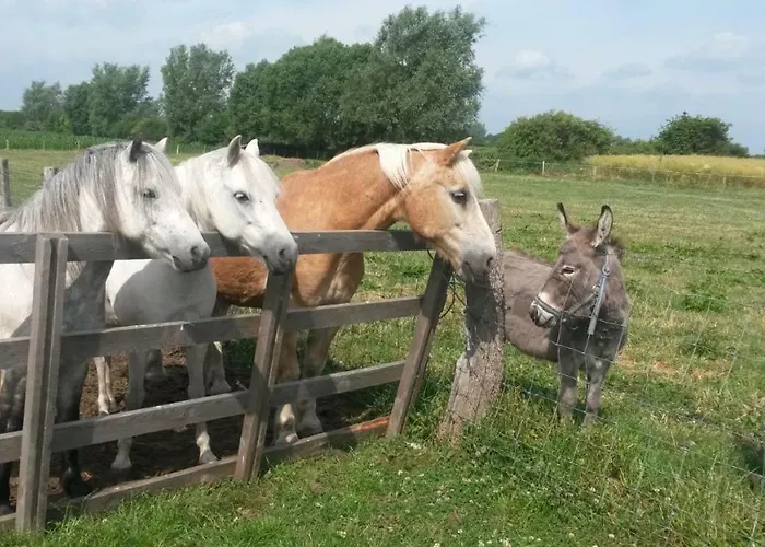 Stobbe Lägenhet Grube